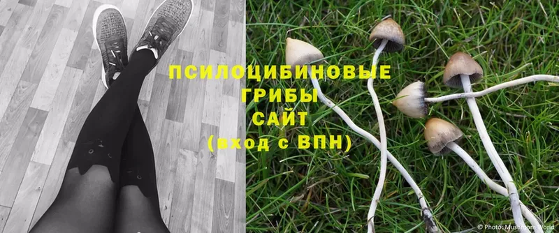 МЕГА как зайти  Бутурлиновка  Псилоцибиновые грибы Magic Shrooms  сколько стоит 